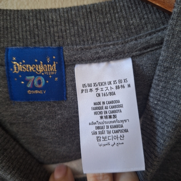 Disneyland Resort 70th Anniversary Embroidred Graphic Sweatshirt Size XS - Picture 2 of 6